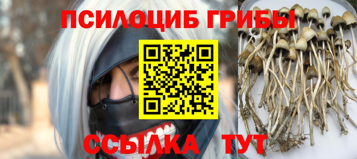 Псилоцибиновые грибы Cubensis  Галлюциногенные грибы GOLDEN TEACHER  Лесозаводск 