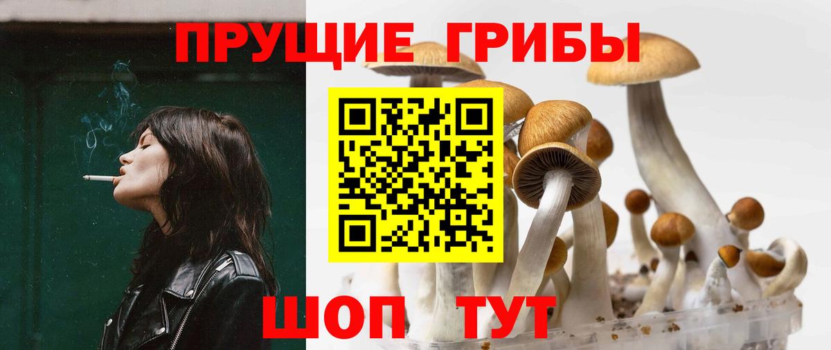 Галлюциногенные грибы мухоморы Лесозаводск